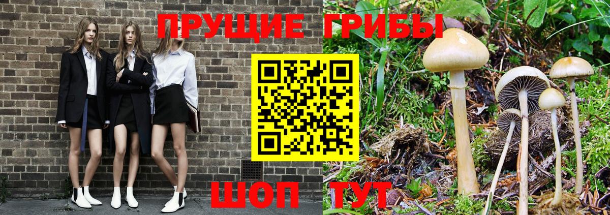 Кунгур  Галлюциногенные грибы ЛСД  как найти закладки  Вход с VPN 