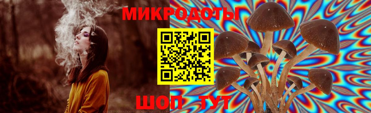 Галлюциногенные грибы ЛСД Кунгур